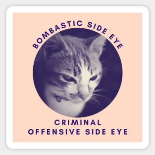 Bombastic side eye. Criminal, offensive side eye. Sticker